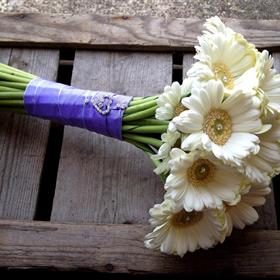 fwthumbgerbera 1.jpg